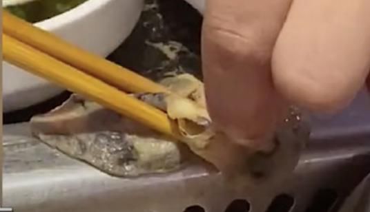 乌鸡卷中|深夜，海底捞道歉！