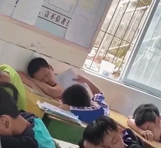  小可爱|这些小可爱是真实存在的吗？