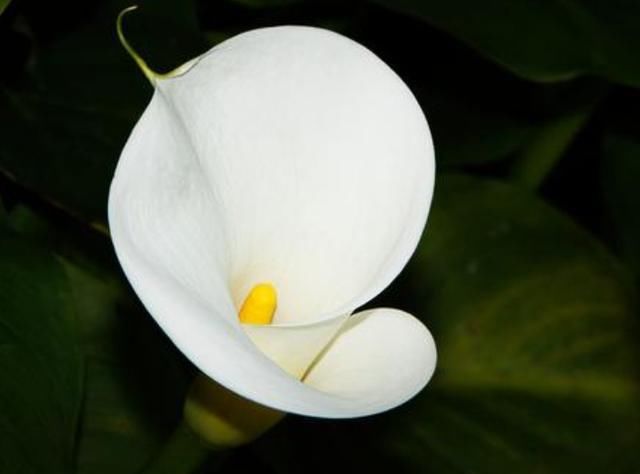  喝茶|“过得好坏，一看就知”：日子过得好的人，喜欢做四件不起眼的事