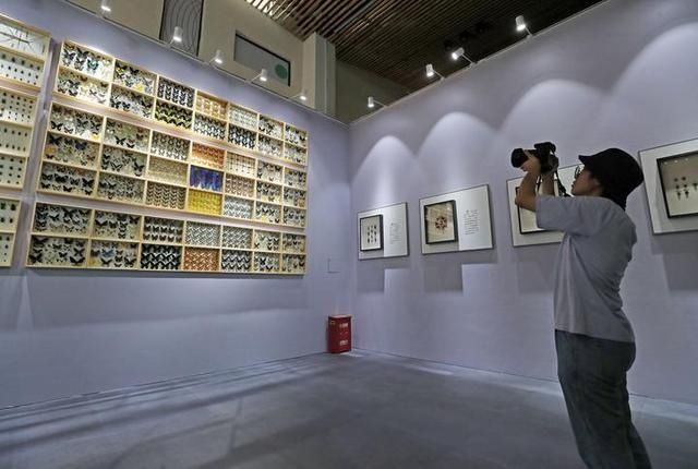  奇境|杭州虫生主题展 走进昆虫美丽奇境