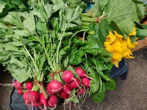  好吃|墨西哥美食太好吃了！