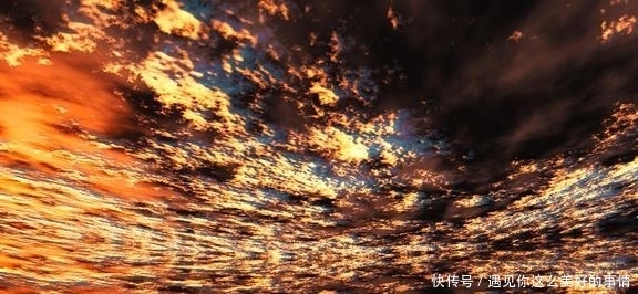  谈恋爱的情|8月，付出真心实意，动了真心，三星座放不下，忘不掉，把爱讨回