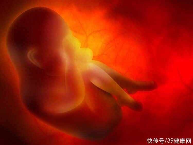 世界首个人造子宫工厂，无需妇女一年量产3万胎，真有这么神奇？2023