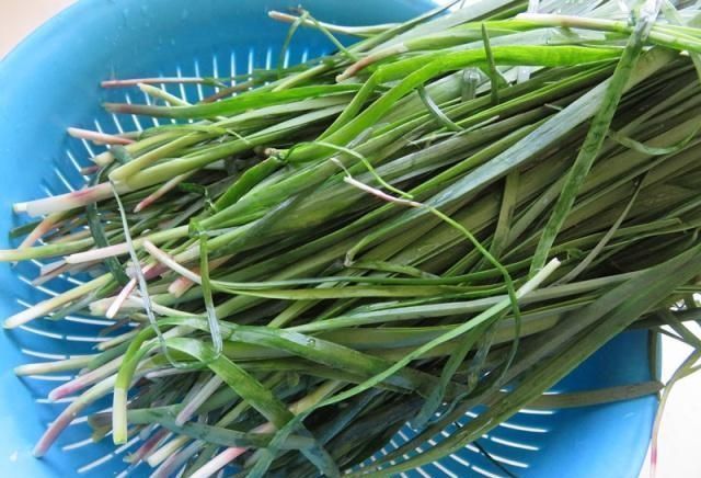 一口气|丈夫调饺子馅,韭菜里加了它,又香还不腻口,我一口气吃30个