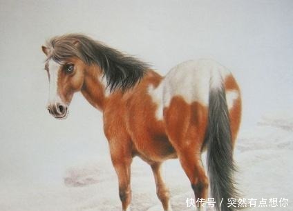 生肖|天生“少奶奶命”的三大生肖女,长相一般却很旺夫,大富大贵