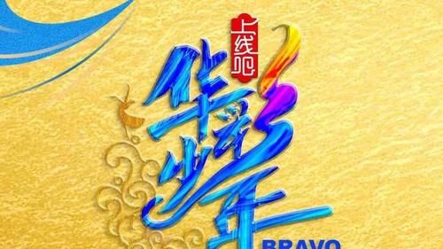  流量|流量至上央视也开始搞选秀节目了！25周岁以下性别不限