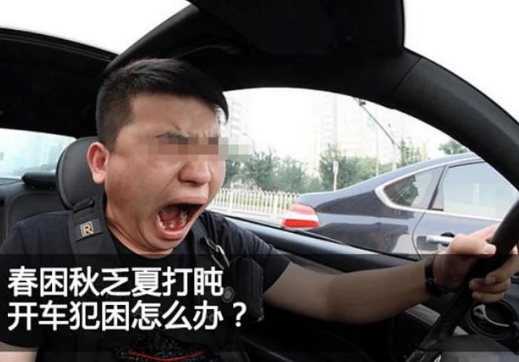  交警|高速上现“健身达人”，连做115个俯卧撑，交警：不罚