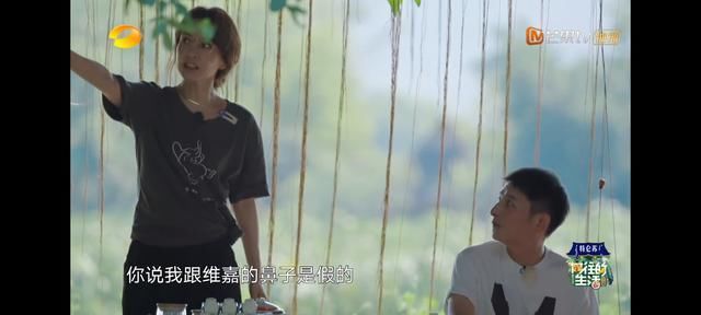 李维嘉|李维嘉和吴昕的鼻子是假的？何炅植发？