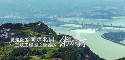  冠军|《中餐厅4》首播斩获收视冠军