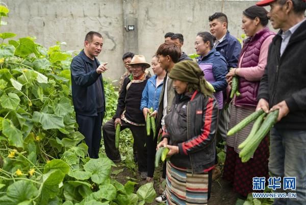 组图|西藏首个边境基层供销合作社在玉麦乡挂牌成立[组图]