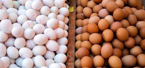 超市|去超市买鸡蛋，选白壳还是红壳好？超市员工说漏嘴，别再买错了