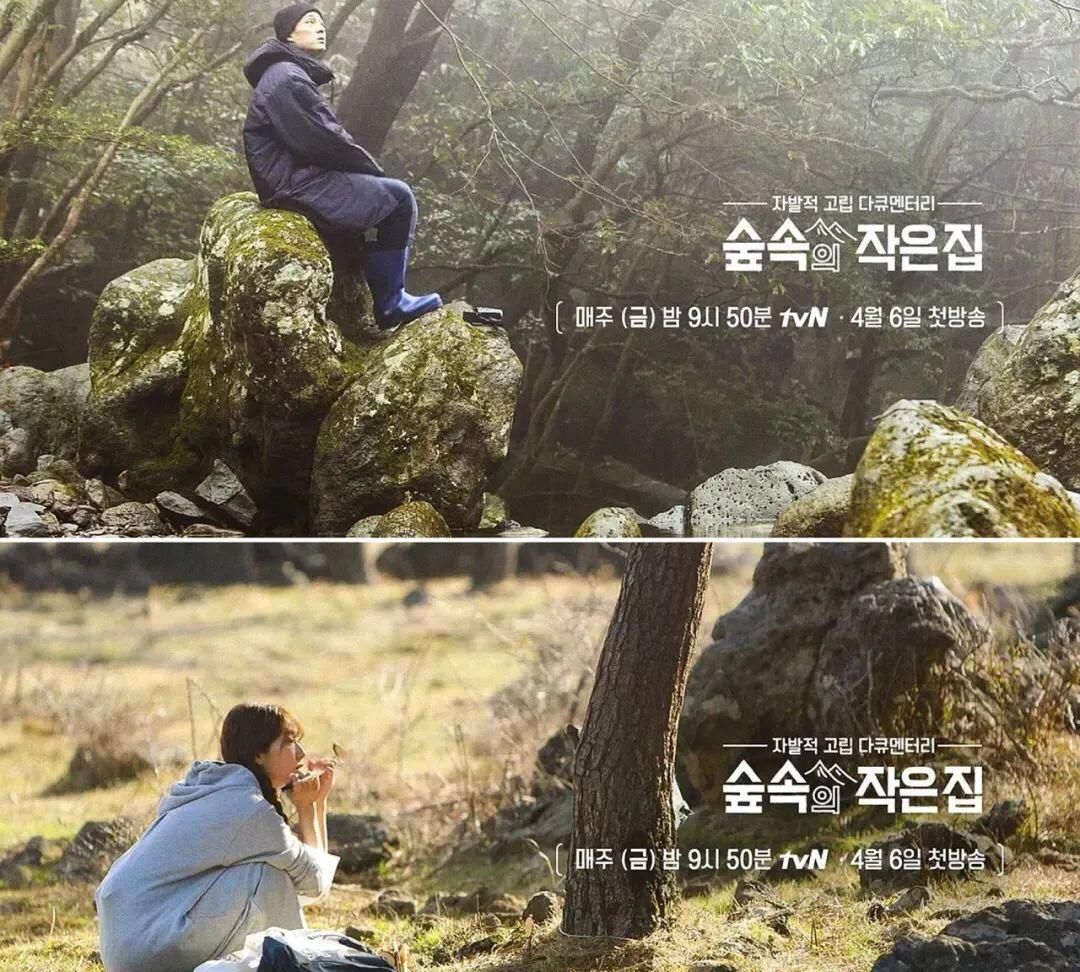 竟成|南韩口碑爆棚,“男神收割机”竟成实验对象?