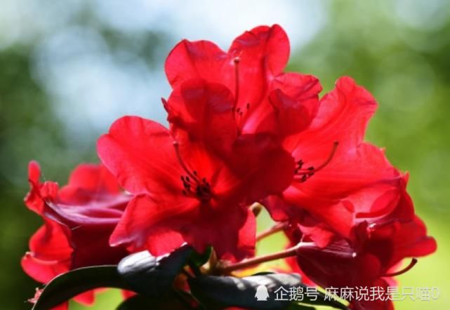  财富|八月开始，幸运多多，天降财富，运势飙升的生肖