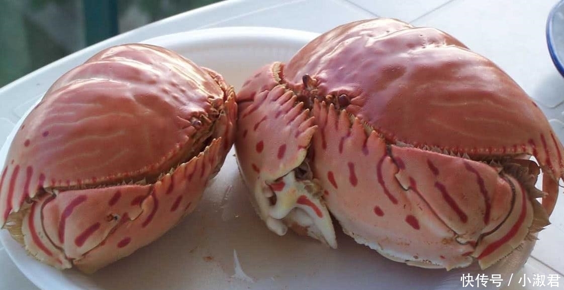 日本|试吃日本800元一只的面包蟹, 敲开瞬间才知道什么是“顶级海鲜”