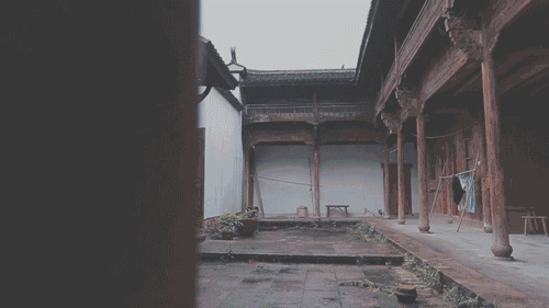  人心不足蛇吞象|“人心不足蛇吞象”原来讲的是这个故事