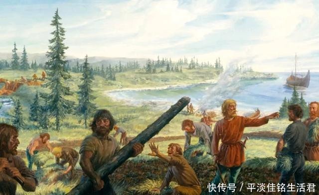 事情|维京人发现美洲时，最高兴的事情竟然是有浆果可以酿酒了