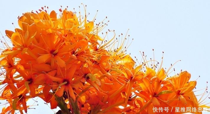 频传|九月上旬开始,喜报频传,财运暴涨,财喜两旺的生肖