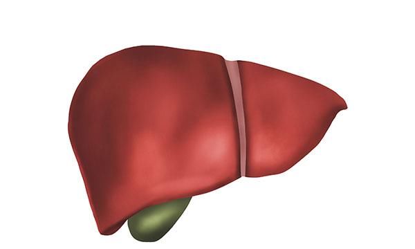  运动|肝脏变“脏”的表现有哪些？如何才能给肝脏“洗个澡”？