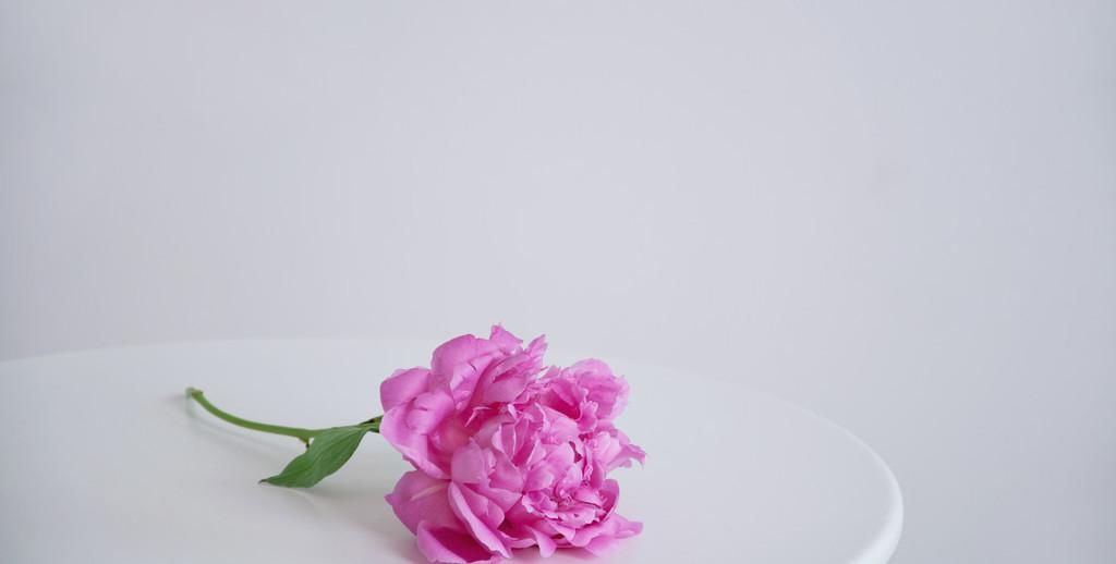  淡然|人生，简单、洒脱、淡然、放下