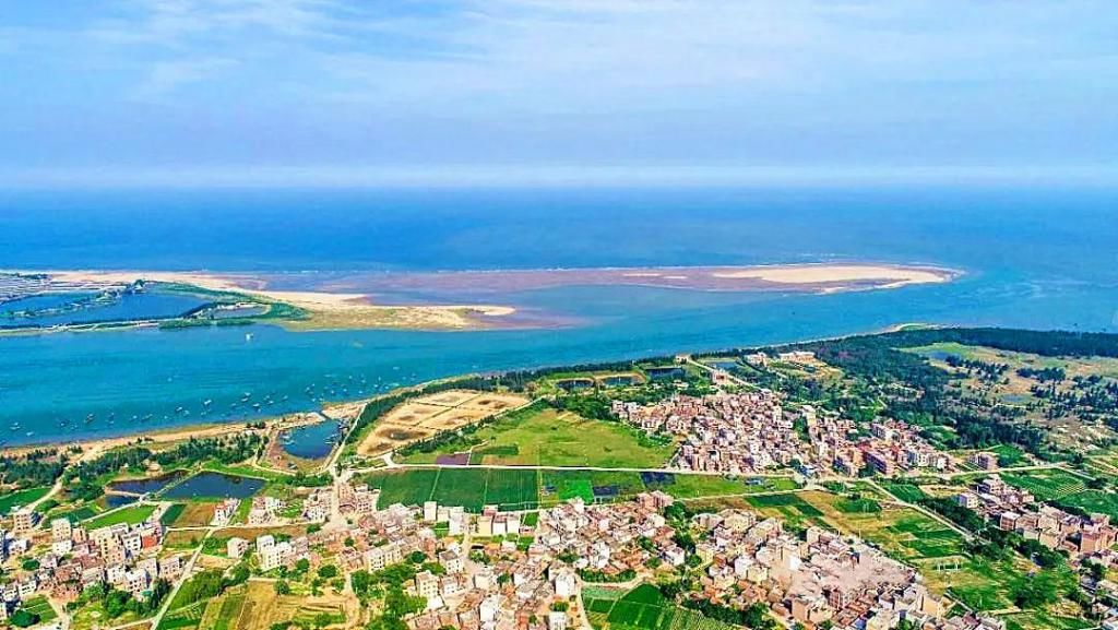  湛江市坡头区摄影协|映日荷花醉「乾塘」