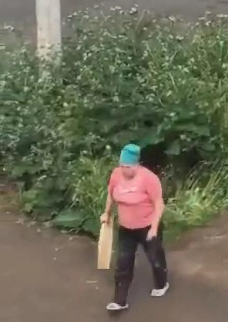  大妈|俄一对情侣草丛缠绵，被愤怒的邻居大妈用木板狠打严厉教育