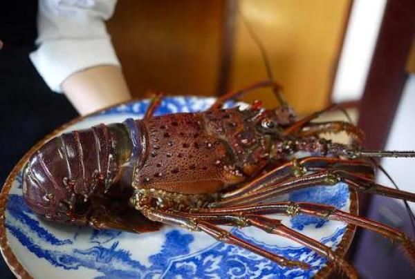  人才|广东人才是真的会吃龙虾，越贵的龙虾，做法越讲究