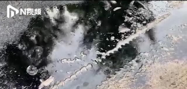 生活|3000吨茶叶被毁,损失9000万,他最担心的竟然还是别人!