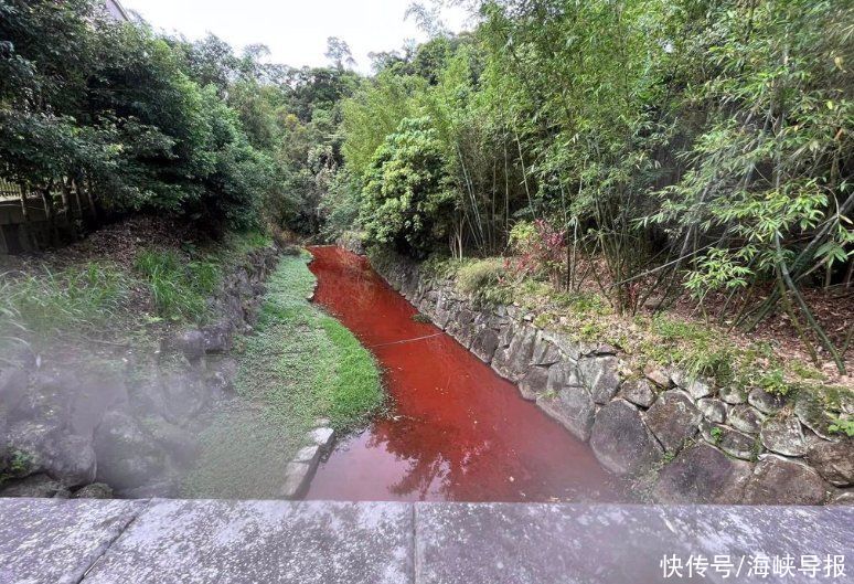 台北市内湖区内沟溪突然“血流成河”，初步调查结果出炉