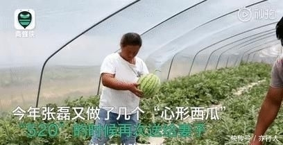 妻子|种个西瓜都是爱你的形状！