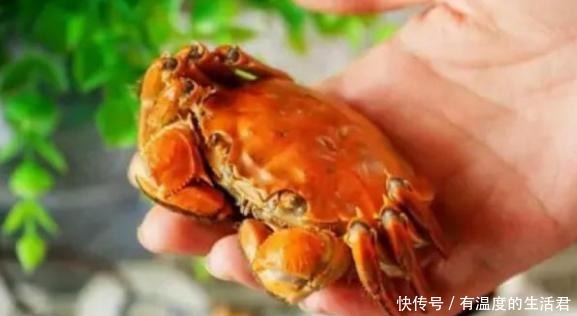 中国|英国人在中国吃了一盘螃蟹,扔下100元准备走,老板等一下