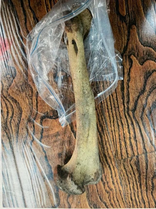获刑|捡了一根骨头，黑龙江一男子获刑5年！