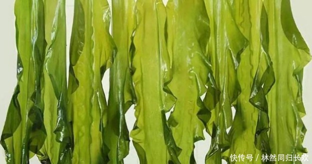 选择海带|买海带,“内行”遇到这种,再便宜也不买,老板:我们自己也不吃