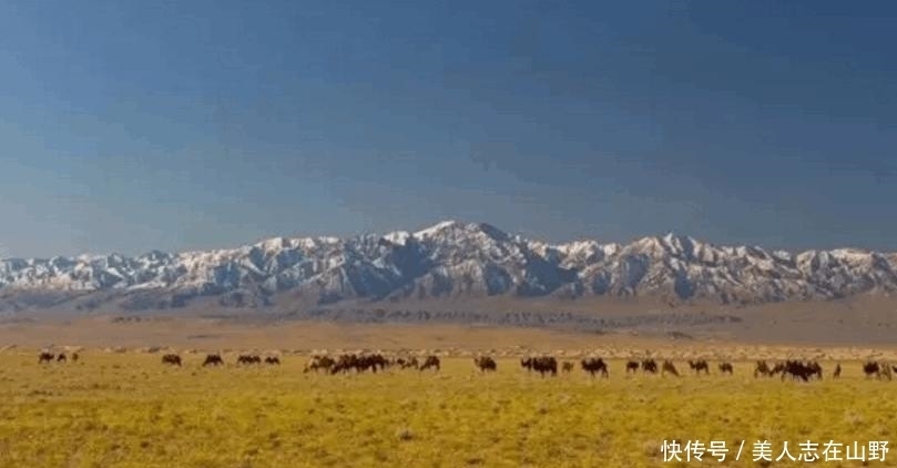 帝国|三个因作死被打到混不下去的东方民族, 到了欧洲大陆后称霸一方