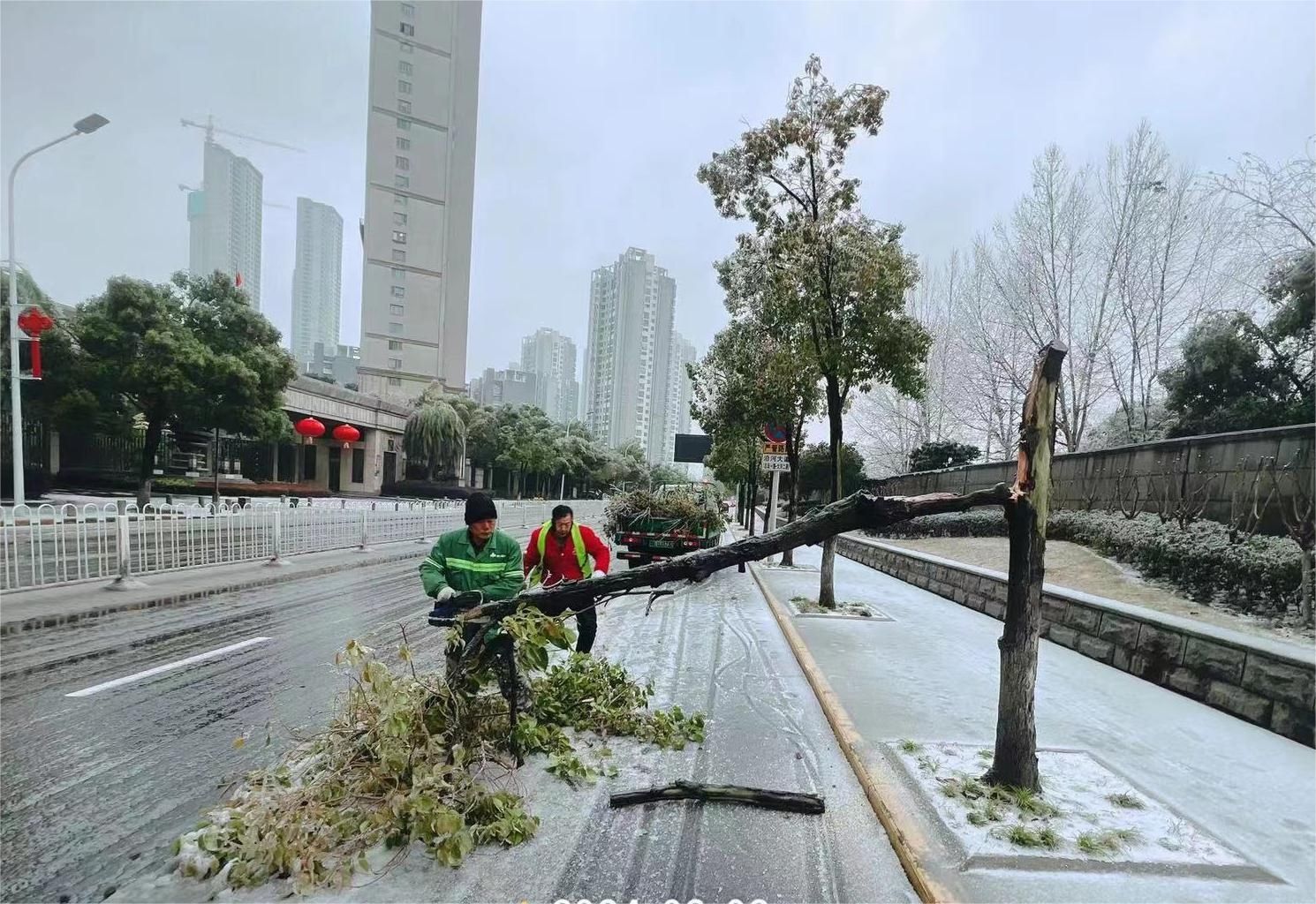 闻“雪”而动！ 武汉园林投入1500人处理道路绿化积雪