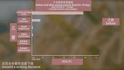  农业|菜吧：我相信有机农业的存在