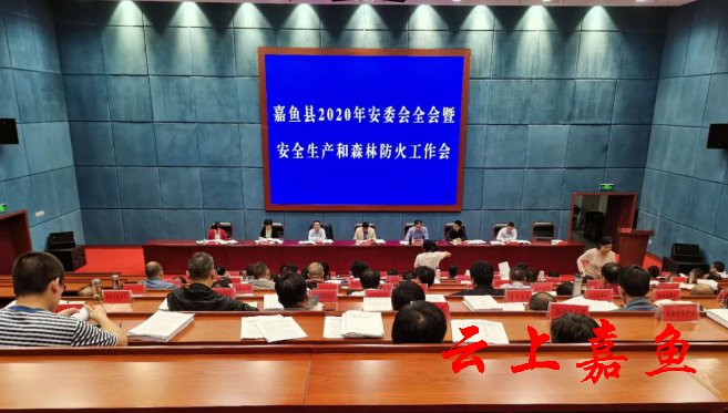  全会|我县2020年安委会全会暨安全生产和森林防火工作会召开