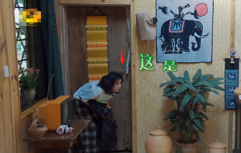  洗头|张子枫欧阳娜娜没洗头，第二天娜比依旧美丽，张子枫却让我笑出声