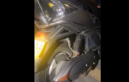 老人|吓人!老人准备骑车,突然摸到一条蟒蛇