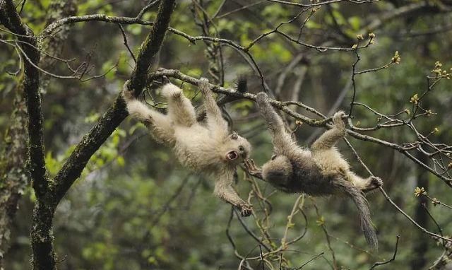 生长|云之南，一个生生不息、万物生长的地方
