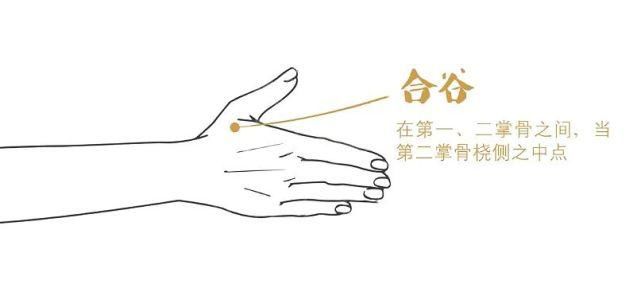 凹陷|汴梁养生|十大常用天然“止痛开关”,帮我们缓解疼痛!