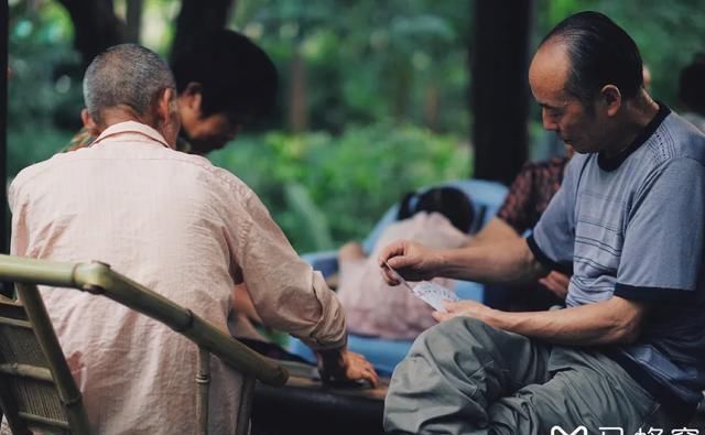  熊猫|中国顶级旅游路线有高铁了！看完熊猫再环洱海，一辆车就能解决