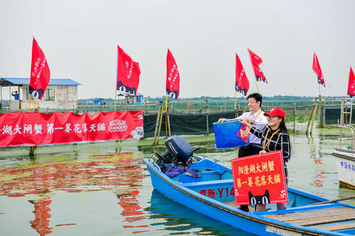 开湖|阳澄湖今日开湖 第一篓大闸蟹又双叒叕花落天猫