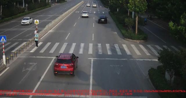 泰安|鲁JM2**3、鲁JJ0**7、鲁J62**N……泰安这15辆车被曝光!