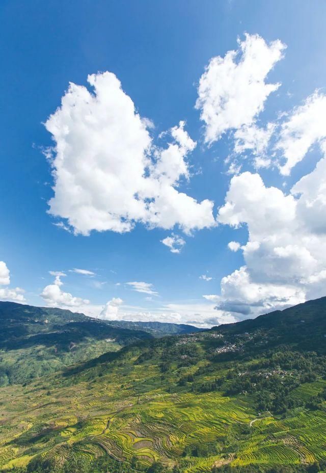 生长|云之南，一个生生不息、万物生长的地方