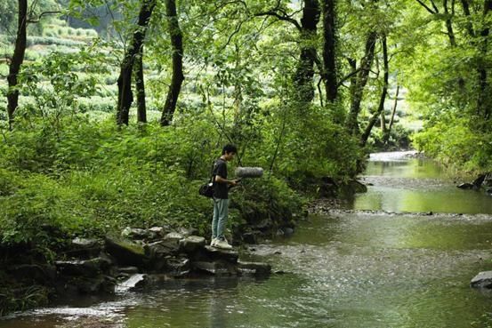  自然声音|这条推送里的声音，太治愈了