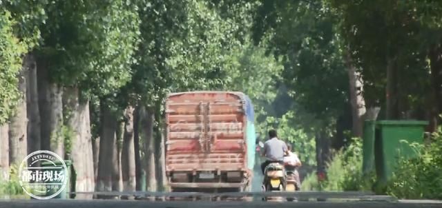  身亡|男子街头被撞身亡，妻子寻凶近10年，只为一个真相