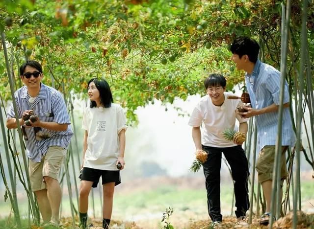 狠狠|《向往4》安排嘉宾挖藕,却被质疑是作秀,官博公开科普狠狠打脸