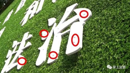 机动车|不文明行为和现象已被拍下,你“中招”了吗?