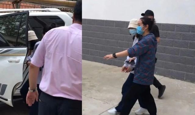 高考|高考文化课391分，立过学霸人设的张子枫果然被嘲了