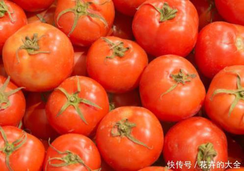  底部是尖|购买西红柿时，牢记以下几点，可以帮你避开“激素西红柿”！